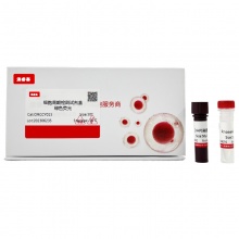 细胞周期检测试剂盒-绿色荧光