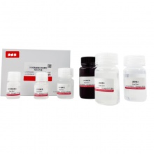 SRB细胞增殖及细胞毒性检测试剂盒