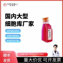 AE-2 小鼠杂交瘤细胞抗AChE（询价）