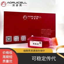 KP-4人胰腺癌细胞