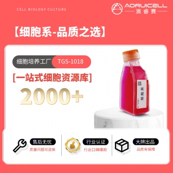 B16-F10-GFP小鼠黑色素瘤细胞带绿色荧光