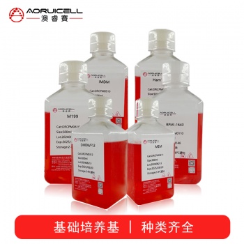 THLE-2细胞专用培养基