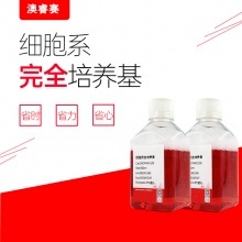 Balb/c小鼠骨髓间充质干细胞成骨诱导分化培养基