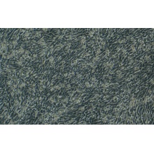 CT-2A（小鼠胶质母细胞瘤细胞）