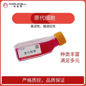 人皮肤成纤维细胞