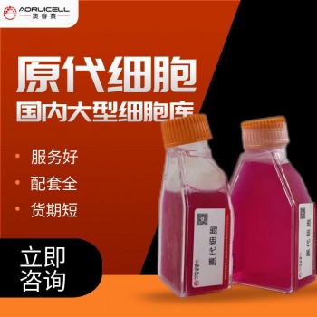 小鼠脂肪间充质干细胞永生化