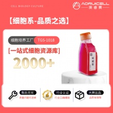 NCI-H146（人小细胞肺癌细胞）