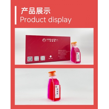 HDF-a （成人真皮成纤维母细胞）