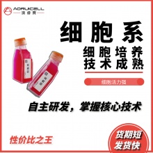 MOG-G-CCM（人胶质瘤细胞）