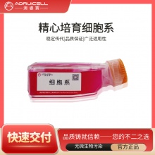 SW 156 [SW-156, SW156]（人肾细胞腺癌细胞）