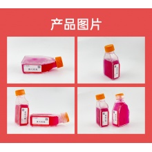 hcaec（人冠状动脉内皮细胞）