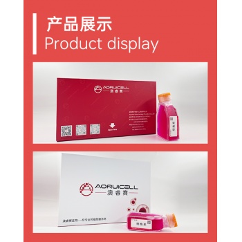 GFP-BSD稳转株永生化人淋巴管内皮细胞