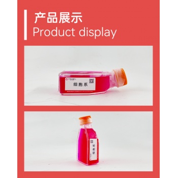 小鼠脾脏CD4+T细胞