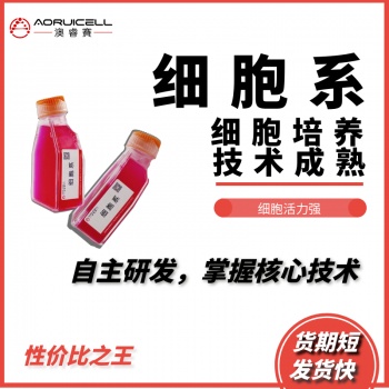 YTN-16（小鼠胃癌细胞）