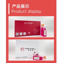 GFP-BSD稳转株永生化人淋巴管内皮细胞