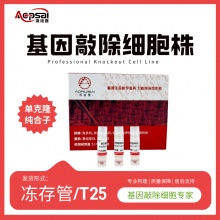 Human NCOA5基因敲除株（DU145细胞）