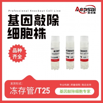 hERAP1和hB2M双基因敲除株（293T细胞）